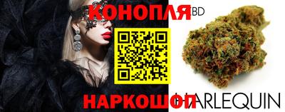ECSTASY Камышлов