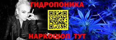 ECSTASY Камышлов