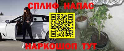 ECSTASY Камышлов